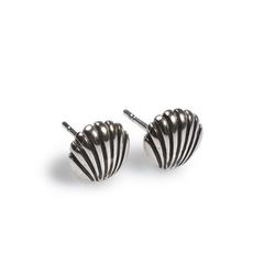 Sea Shell Stud Earrings In Silver