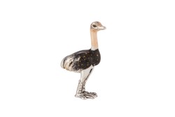 Ostrich, Miniature - 13333