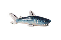 Shark, Miniature - 13318VS