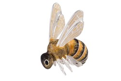Bee, Big - 13322S