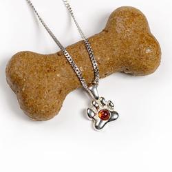 Henryka Paw Print Necklace In Silver And Amber - Ph525-C-Cos